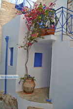 JustGreece.com Ano Syros | Greece | Greece  Photo 29 - Foto van JustGreece.com