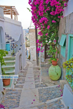 JustGreece.com Ano Syros | Greece | Greece  Photo 42 - Foto van JustGreece.com