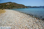 JustGreece.com Delfini Beach near Kini | Syros | Greece Photo 10 - Foto van JustGreece.com