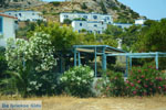 JustGreece.com Galissas | Syros | Greece Photo 3 - Foto van JustGreece.com