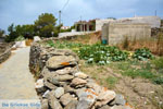 Sa Michalis | Northern Syros | Greece Photo 15 - Photo JustGreece.com