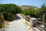 Sa Michalis | Northern Syros | Greece Photo 27 - Photo JustGreece.com