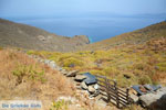 Kampos | Northern Syros | Greece | Photo 31 - Photo JustGreece.com