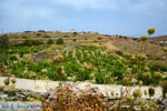 Sa Michalis | Northern Syros | Greece Photo 43 - Photo JustGreece.com