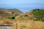 Northern Syros | Greece | Greece  Photo 71 - Photo JustGreece.com