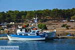 Island of Telendos - Dodecanese islands photo 47 - Photo JustGreece.com