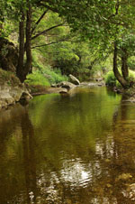 Patermos Rodopi | Greece | Foto 1 - Foto van JustGreece.com