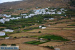 JustGreece.com Karkados and Kalloni Tinos | Greece | Photo 2 - Foto van JustGreece.com