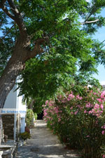 JustGreece.com Agapi Tinos | Greece | Greece  Photo 26 - Foto van JustGreece.com