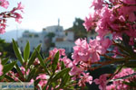Agapi Tinos | Greece | Greece  Photo 28 - Photo JustGreece.com
