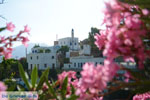 JustGreece.com Agapi Tinos | Greece | Greece  Photo 29 - Foto van JustGreece.com