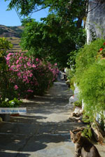 JustGreece.com Agapi Tinos | Greece | Greece  Photo 37 - Foto van JustGreece.com