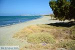 JustGreece.com  Aghios Fokas ten oosten of Tinos town | Photo 10 - Foto van JustGreece.com