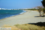  Aghios Fokas ten oosten of Tinos town | Photo 11 - Photo JustGreece.com