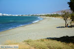 JustGreece.com  Aghios Fokas ten oosten of Tinos town | Photo 11 - Foto van JustGreece.com