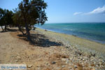 JustGreece.com  Aghios Fokas ten oosten of Tinos town | Photo 12 - Foto van JustGreece.com