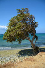  Aghios Fokas ten oosten of Tinos town | Photo 14 - Photo JustGreece.com