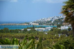 Agios Sostis Tinos | Greece Photo 21 - Photo JustGreece.com