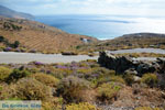  near Agios Ioannis Porto | Tinos Greece Photo 14 - Photo JustGreece.com