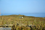 Agios Romanos Tinos | Greece | Photo 1 - Photo JustGreece.com