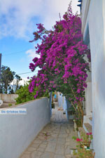 JustGreece.com Arnados Tinos | Greece | Photo 9 - Foto van JustGreece.com
