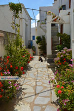 JustGreece.com Falatados near Exomvourgo Tinos | Greece | Photo 21 - Foto van JustGreece.com