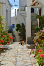 Falatados near Exomvourgo Tinos | Greece | Photo 23 - Photo JustGreece.com