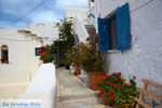 JustGreece.com Kardiani Tinos | Greece | Photo 11 - Foto van JustGreece.com