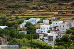 JustGreece.com Komi Tinos | Perastra | Greece Photo 3 - Foto van JustGreece.com