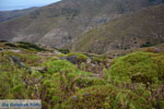 Northeast Tinos | Greece | Photo 11 - Photo JustGreece.com
