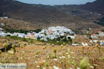 JustGreece.com Pyrgos Tinos | Greece | Fotto 2 - Foto van JustGreece.com