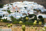 JustGreece.com Pyrgos Tinos | Greece | Fotto 3 - Foto van JustGreece.com