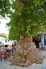 JustGreece.com Pyrgos Tinos | Greece | Fotto 27 - Foto van JustGreece.com