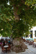 JustGreece.com Pyrgos Tinos | Greece | Fotto 35 - Foto van JustGreece.com