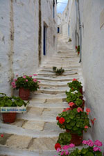 JustGreece.com Pyrgos Tinos | Greece | Fotto 39 - Foto van JustGreece.com