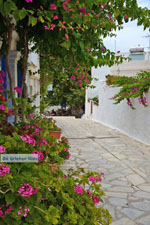 JustGreece.com Pyrgos Tinos | Greece | Fotto 42 - Foto van JustGreece.com