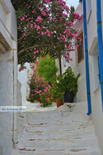 JustGreece.com Pyrgos Tinos | Greece | Fotto 47 - Foto van JustGreece.com