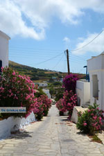 JustGreece.com Steni Tinos | Greece | Photo 5 - Foto van JustGreece.com