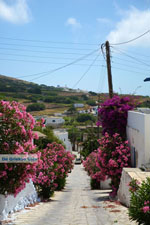 JustGreece.com Steni Tinos | Greece | Photo 6 - Foto van JustGreece.com