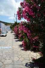 Steni Tinos | Greece | Photo 13 - Photo JustGreece.com