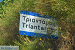 JustGreece.com Triantaros near Dyo Choria Tinos | Greece | Photo 4 - Foto van JustGreece.com