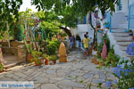 Volax | Volakas Tinos | Greece Photo 15 - Photo JustGreece.com