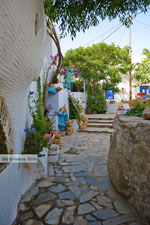 JustGreece.com Volax | Volakas Tinos | Greece Photo 26 - Foto van JustGreece.com