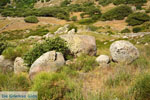 Volax | Volakas Tinos | Greece Photo 31 - Photo JustGreece.com