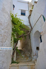 JustGreece.com Ysternia Tinos | Isternia | Greece Photo 7 - Foto van JustGreece.com