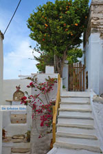 Ysternia Tinos | Isternia | Greece Photo 32 - Photo JustGreece.com