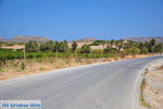 Vai Crete | Lassithi Crete | Greece  Photo 3 - Photo JustGreece.com