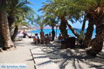 Vai Crete | Lassithi Crete | Greece  Photo 6 - Photo JustGreece.com
