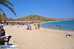 JustGreece.com Vai Crete | Lassithi Crete | Greece  Photo 8 - Foto van JustGreece.com