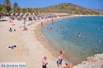 Vai Crete | Lassithi Crete | Greece  Photo 10 - Photo JustGreece.com